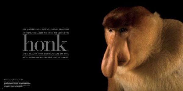 National Geographic Photo Ark Wonders: Celebrating Diversity in the Animal Kingdom