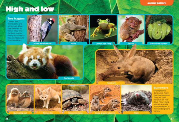 Wild Animals (Animal Planet Animal Bites)