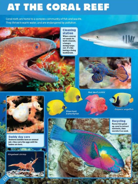 Animals: A Visual Encyclopedia (An Animal Planet Book)