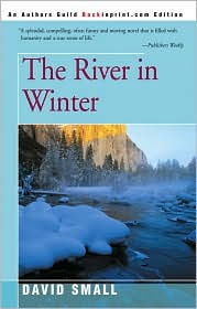 The River in Winter
