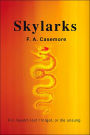 Skylarks: For Myself, Lest I Forget, or Die Unsung