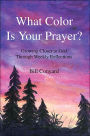 What Color Is Your Prayer?: Growing Closer to God Through Weekly Reflections