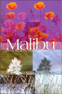 Malibu: Hiking Along the Meaning of Life