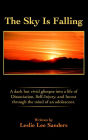 The Sky Is Falling: A Dark but Vivid Glimpse into a Life of Dissociation, Self-Injury, and Incest through the Mind of an Adolescent