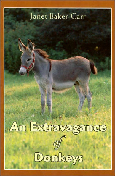 An Extravagance of Donkeys