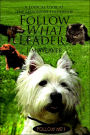 Follow What Leader?: A Logical Look At The Lessons of Leadership