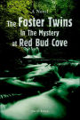 The Foster Twins In The Mystery At Red Bud Cove