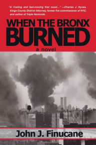 When The Bronx Burned
