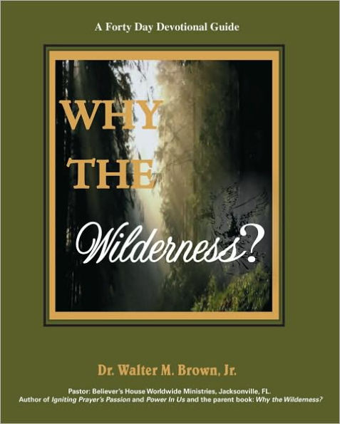 Why the Wilderness: A Forty Day Devotional Guide