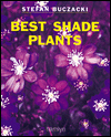 Best Shade Plants