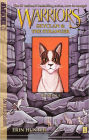The Rescue (Turtleback School & Library Binding Edition)