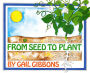 From Seed To Plant
