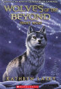 Frost Wolf (Wolves of the Beyond Series #4) (Turtleback School & Library Binding Edition)