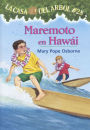 Maremoto en Hawai (High Tide in Hawaii)