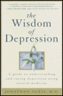 The Wisdom Of Depression: A Guide To Understanding And Curing Depression Using Natural Medicine
