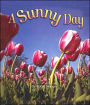 A Sunny Day