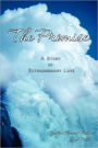 The Promise - An Extraordinary Love Story