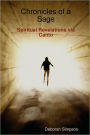 Chronicles of a Sage: Spiritual Revelations via Canto