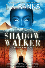 Shadow Walker (Neteru Academy Series #1)