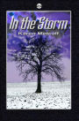 In the Storm