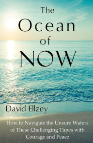 Title: The Ocean of Now: How to Navigate the Unsure Waters of These Challenging Times with Courage and Peace, Author: David Ellzey
