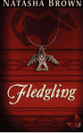 Alternative view 2 of Fledgling: The Shapeshifter Chronicles