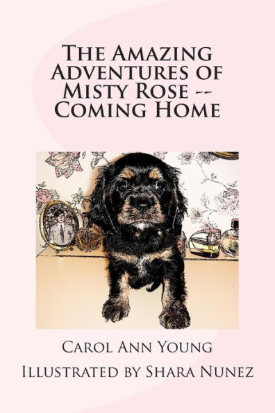 The Amazing Adventures of Misty Rose -- Coming Home
