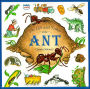 The Life and Times of the Ant