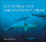 Swimming with Hammerhead Sharks