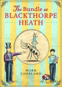 The Bundle at Blackthorpe Heath