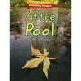 Houghton Mifflin Vocabulary Readers: Theme 2.3 Level 1 At The Pool