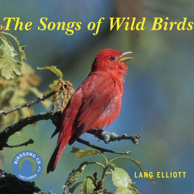 The Songs of Wild Birds by Lang Elliott, Other Format Barnes & Noble®