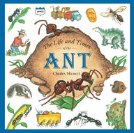 Title: The Life and Times of the Ant, Author: Charles Micucci