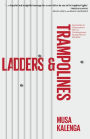 Ladders & Trampolines: Anecdotes And Observations From A Contemporary Young African Marketer