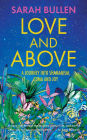 Love and Above: A journey into shamanism, coma and joy