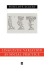 Language Variation as Social Practice: The Linguistic Construction of Identity in Belten High / Edition 1