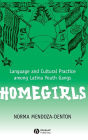 Homegirls: Language and Cultural Practice Among Latina Youth Gangs / Edition 1