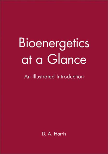 Bioenergetics at a Glance: An Illustrated Introduction