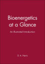 Bioenergetics at a Glance: An Illustrated Introduction