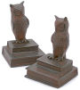 Studious Owls on Books Brass Bookends set of 2