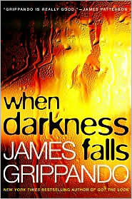 When Darkness Falls (Jack Swyteck Series #6)