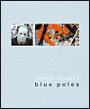 Jackson Pollock's Blue Poles