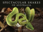 Spectacular Snakes of Australia