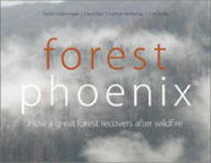 Title: Forest Phoenix: How a Great Forest Recovers After Wildfire, Author: David Lindenmayer