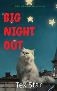 Title: Big Night Out: Lesbian Adventure Series Stories, Author: Tex Star