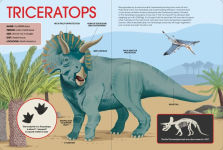Alternative view 2 of Big Book of Dinosaurs (US Edition)
