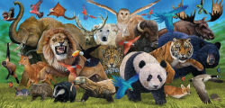 Alternative view 2 of Garry Fleming's Wild Animals - Book & Jigsaw Vol. 2 (US Edition - Barnes & Noble)