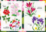 Alternative view 2 of Sticker Therapy: Botanicals: Sticker Activity Book