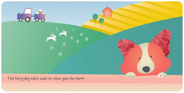 Farm Animals: My First Touch & Feel Book: Board Book with Touch and Feel Elements