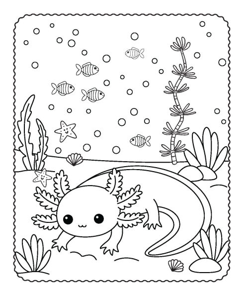 Activity Folder - Axolotl Buddies